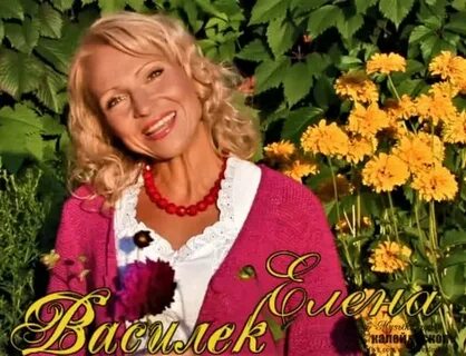 Сколько певице лене василек