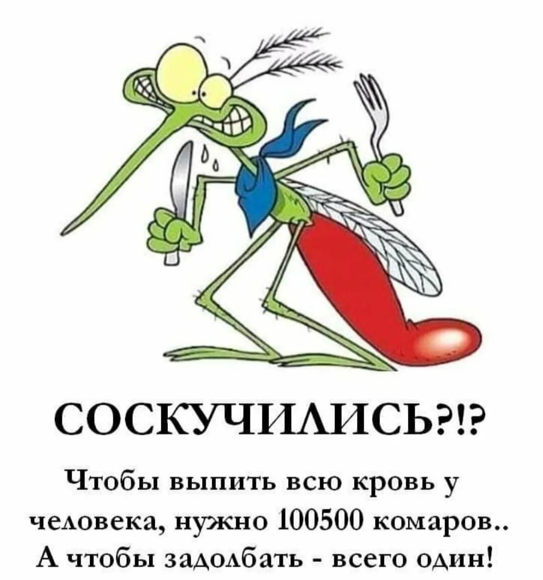 День комара картинки прикольные. Cс днем комара. Всемирный день комара 20 августа. Комар прикол. День комара картинки прикольные.