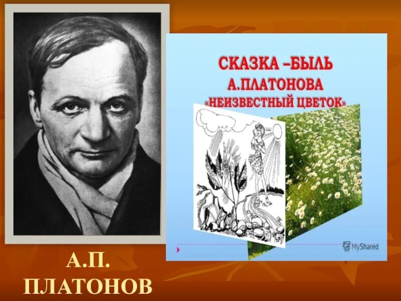 Герои произведения неизвестный цветок. Сказка быль Платонова неизвестный цветок. А.П. Платонова "неизвестный цветок". Платонов сказка быль неизвестный цветок.