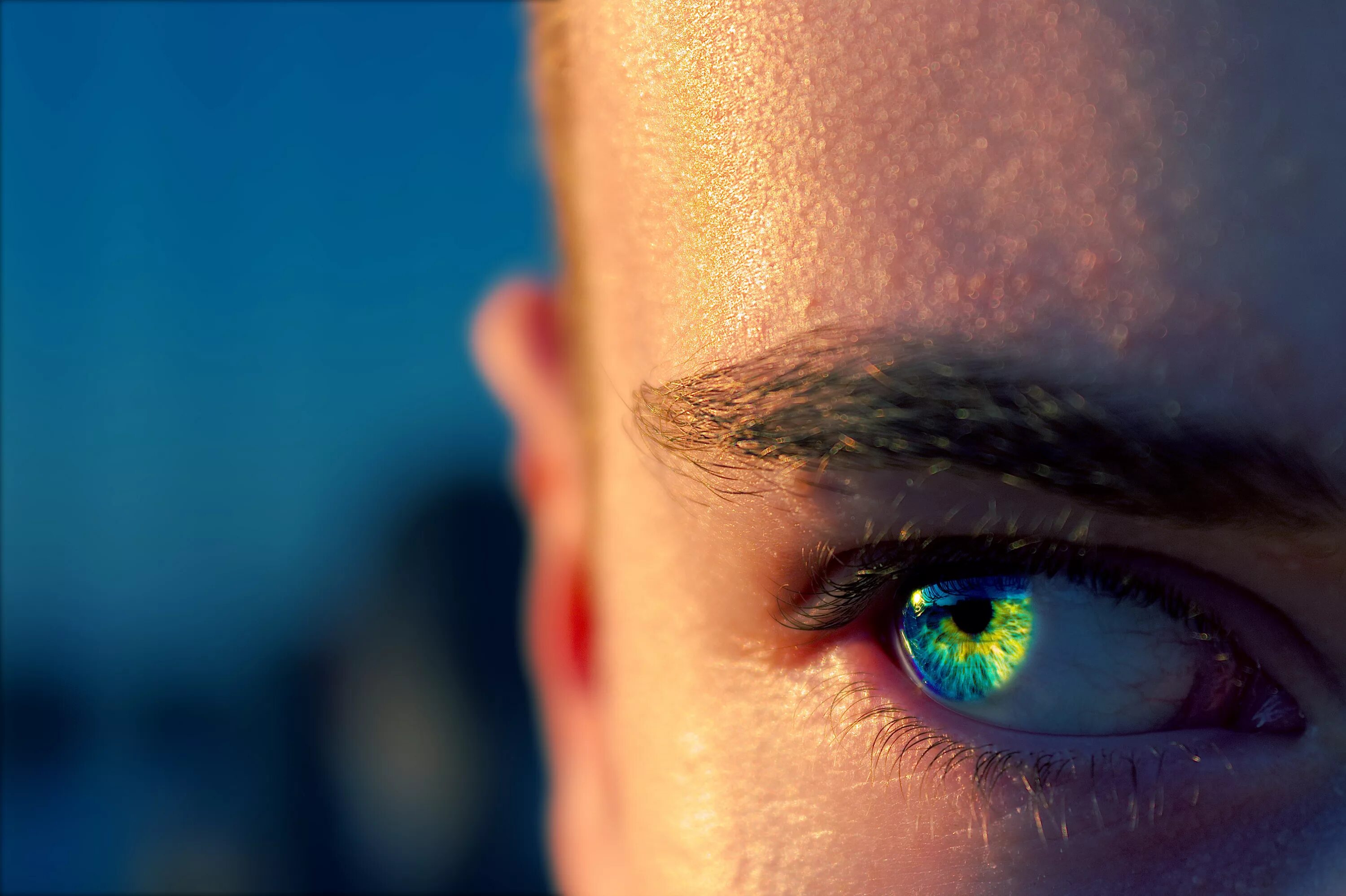 Глаза. Синие глаза. Сине зеленые глаза. Ярко синие глаза.