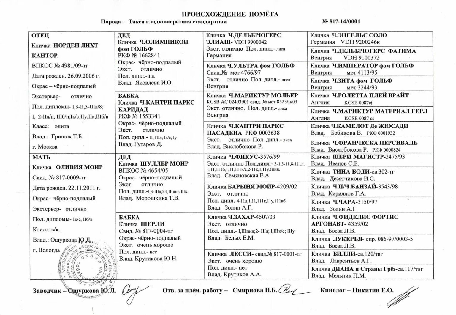 Найти по ркф. Родословная таксы ркф. иностранная родословная собаки. имена в родословной собак. обложка для родословной собаки.