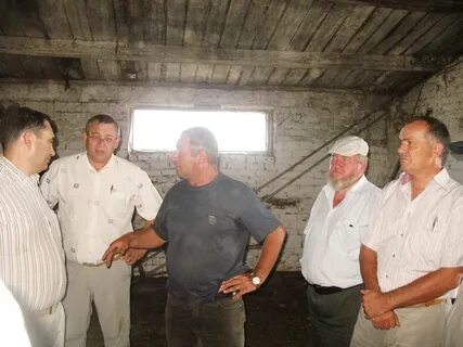 Пестравка погода на 3 дня самарская область