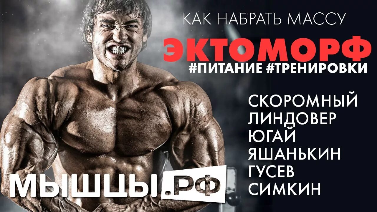 Как набрать массу подростку 16. Эктоморф программа тренировок на массу. как набрать массу. спортивное питание для эктоморфа.