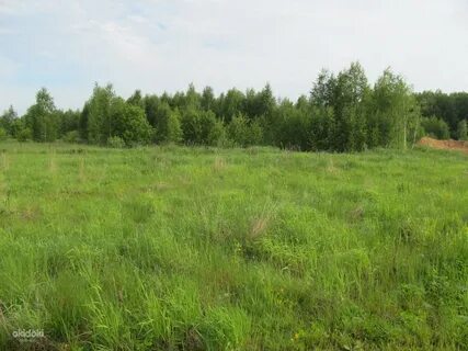 17 гектар