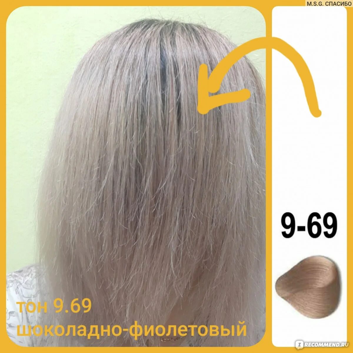 Констант делайт тонирование. Краска констант делайт 9-69. краска delight trionfo 9-69. триумф 10.69 констант делайт. 10.69 констант делайт краска.