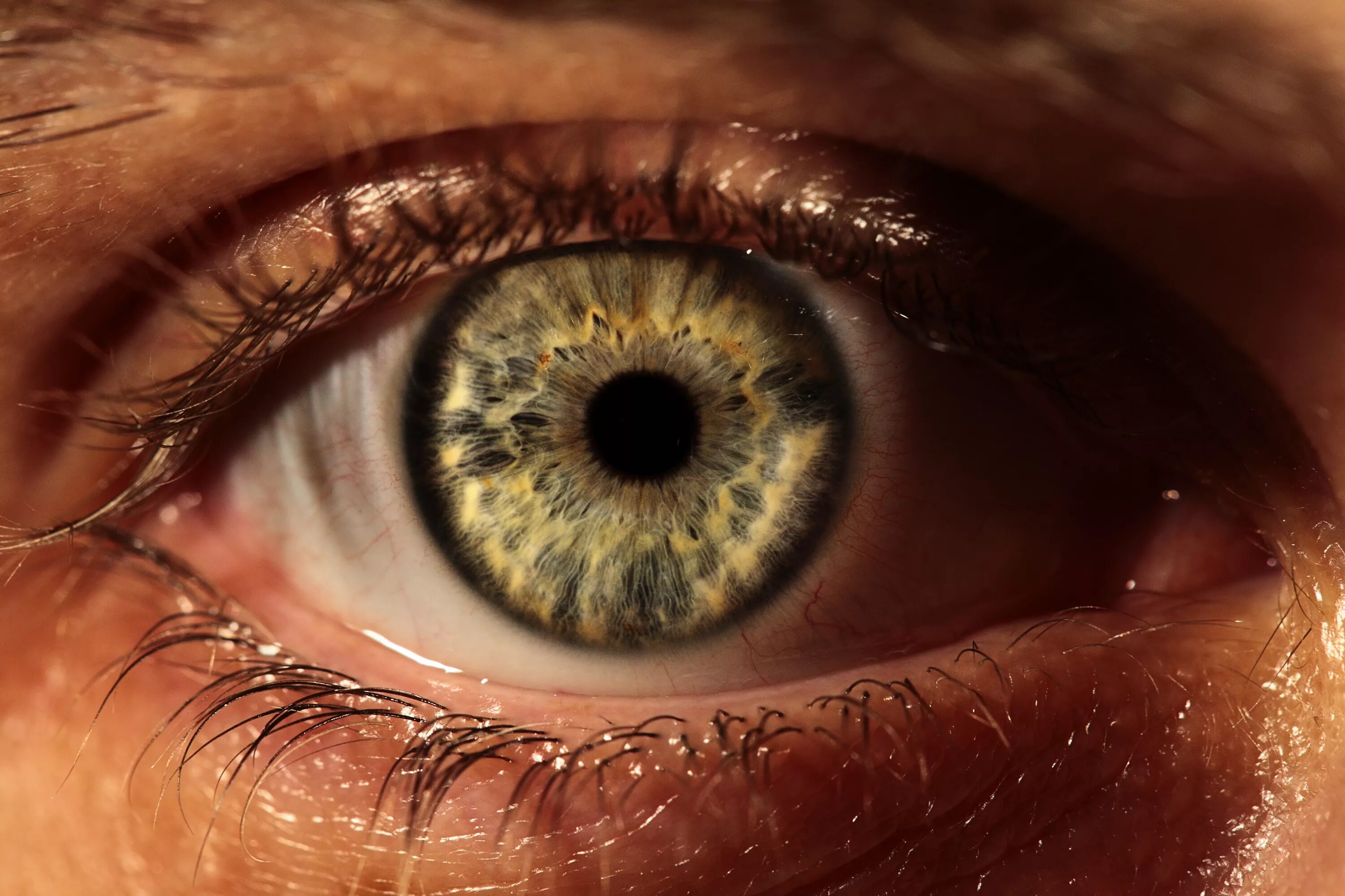 Глаза биологи. Глаза. Необычные зрачки. Цвета Радужки глаз человека. Необычные карие глаза.