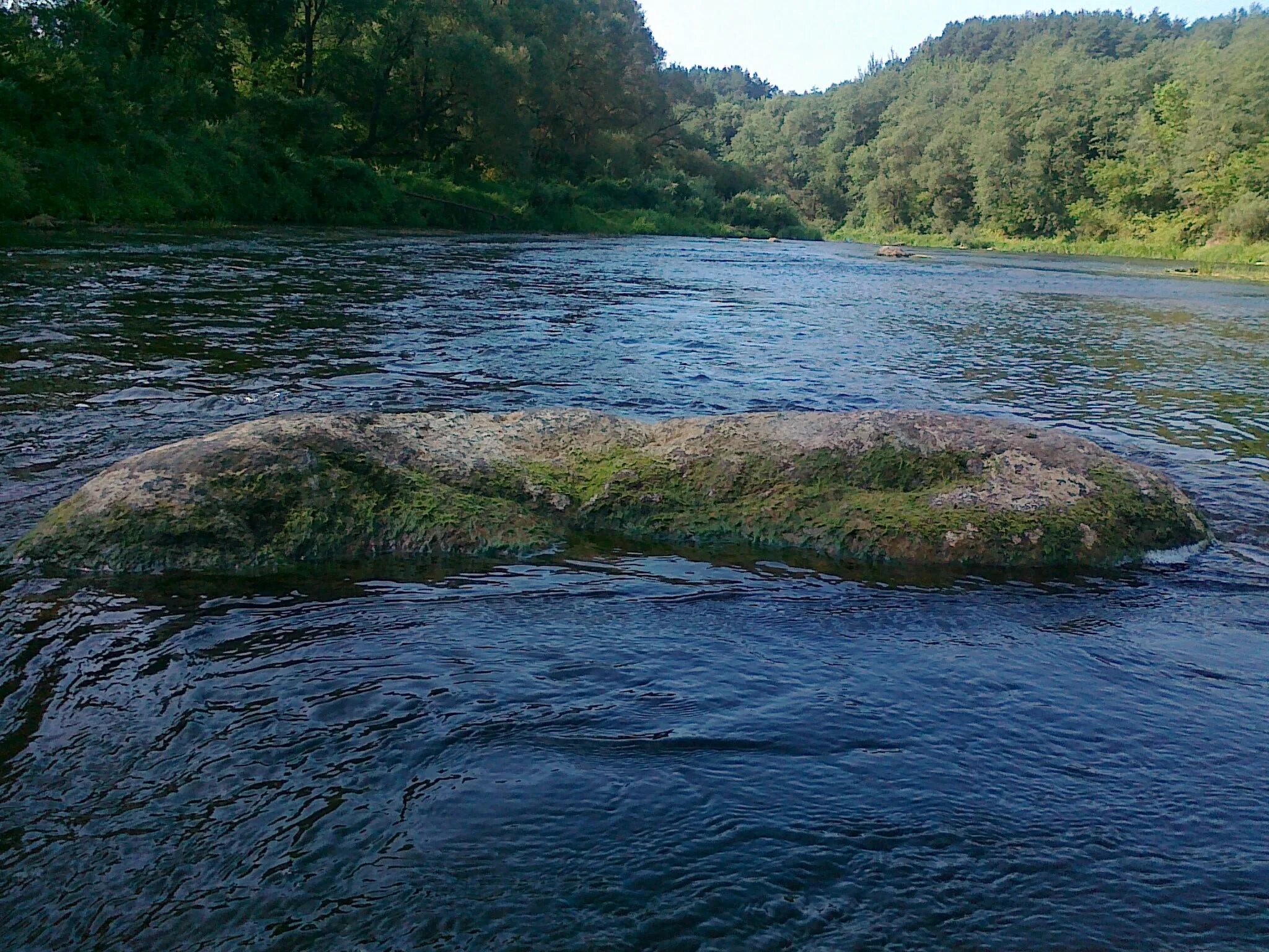 Река Вонча в Марий Эл. Река Вонча в Марий Эл фото. Самая чистая река в мире река Вонча.