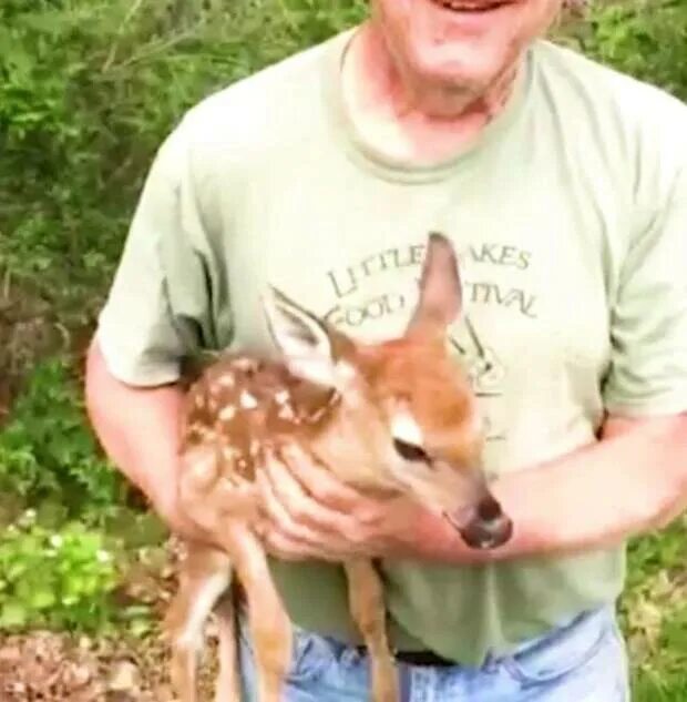 Фермеры башкортостана. Кфх чуванов. Спасение олененка окружающий мир 1 класс. Майстренко игорь фермер на ставрополье. Фермер спас.