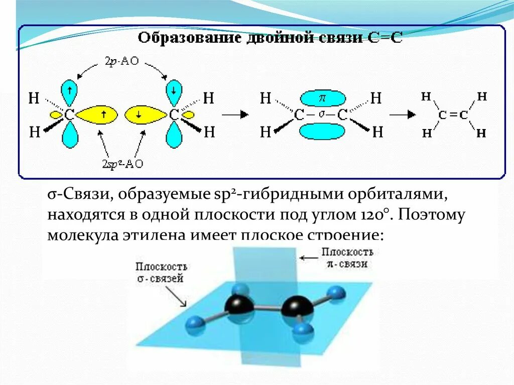 Молекулах есть двойная связь. Схема образования двойной связи алкенов. Sp2-гибридные этилена. Образование двойной связи. Строение двойной связи.