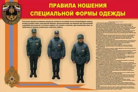 Порядок мчс 806