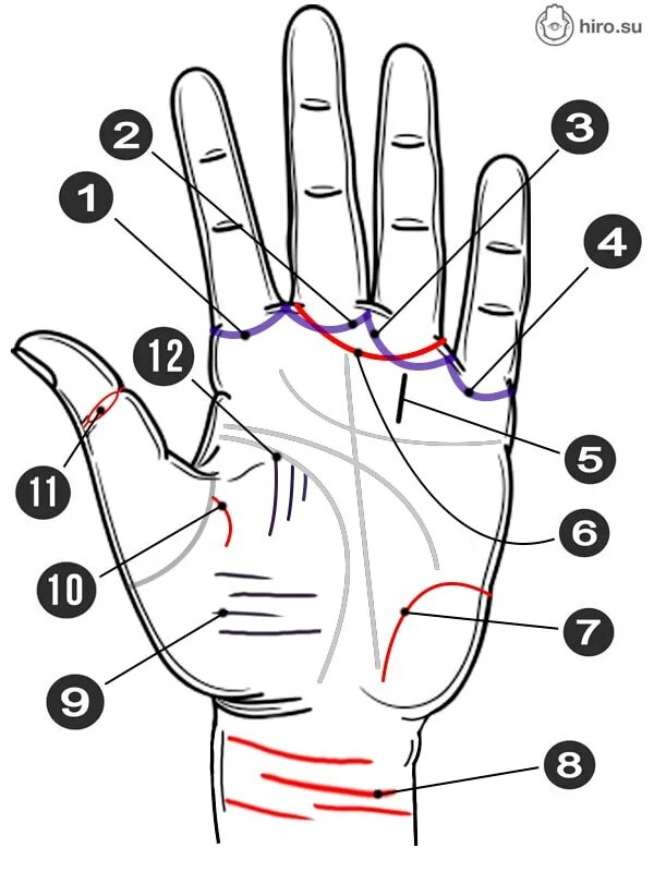 Хиромантия значение браслетов. Линия сладострастия хиромантия. Хиромантия линия сладострастия на руке. Хиромантия левая рука линии. Хиромантия линия проклятия.