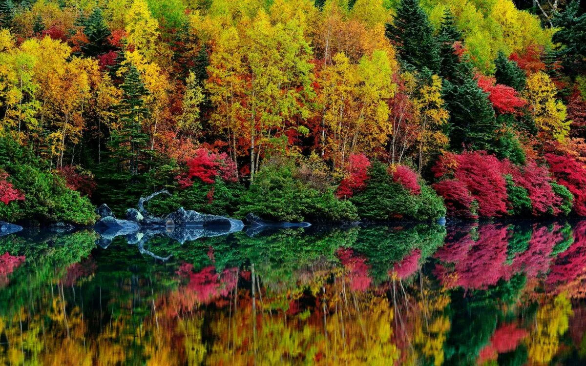 Осень фото красивые. Природа осень. Красивая осень. Красота осени. Осенний лес.
