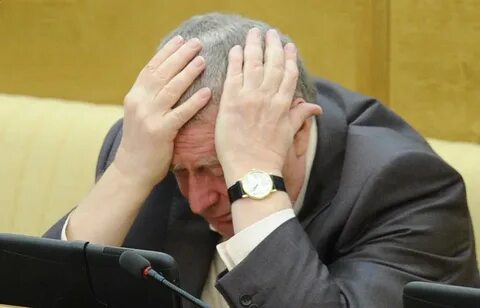 Политик без
