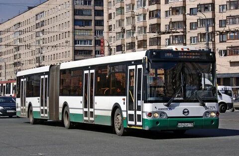 251 автобус спб