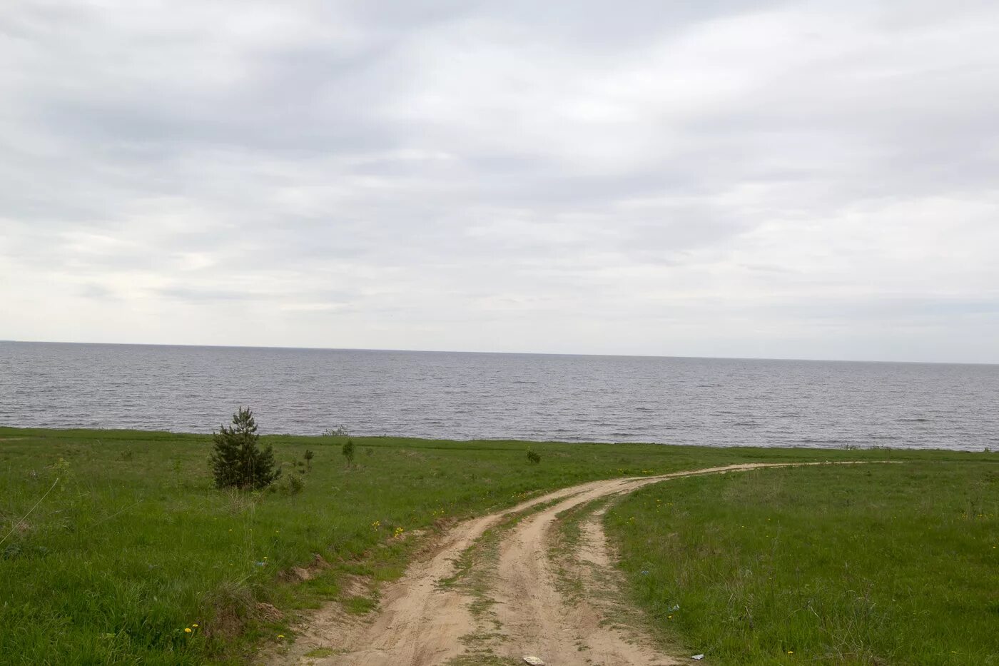 Погода милюшино рыбинский. Деревня Милюшино Рыбинское водохранилище. Рыбинское море Милюшино. Пошехонье Ярославская область Рыбинское водохранилище. Пошехонский район Рыбинское водохранилище.