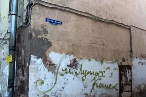Улица лунных кошек