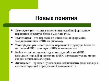 Трнк трансляция или транскрипция