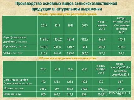 Производство основных видов продукции в натуральном выражении