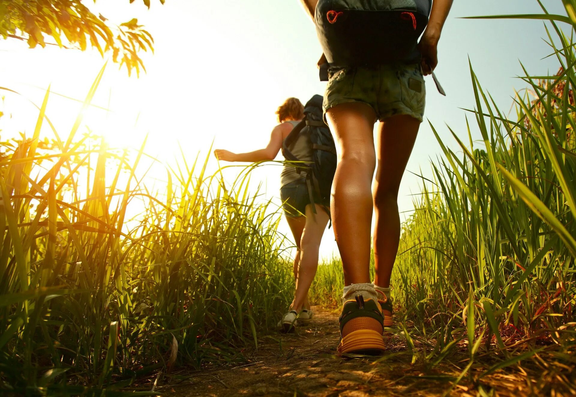 Кот трется. Удача ходит по пятам. Ходить по пятам. Ходить по пятам. Ходить по пятам.