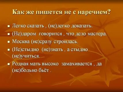 Посвятила или посветила как правильно пишется