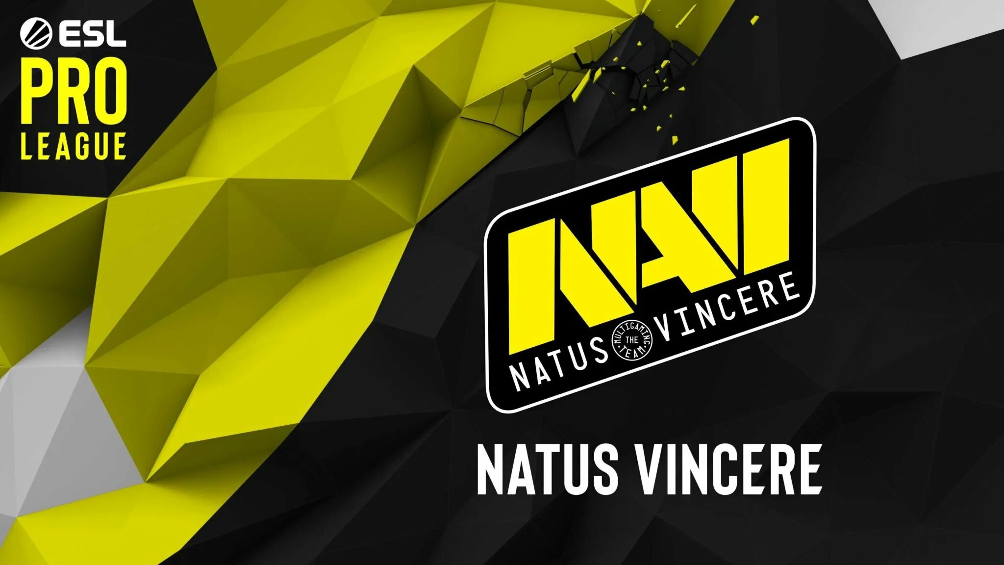 Navi csgo. Фон нави кс го. нави на рабочий стол. фон для рабочего стола navi. natus vincere обои.
