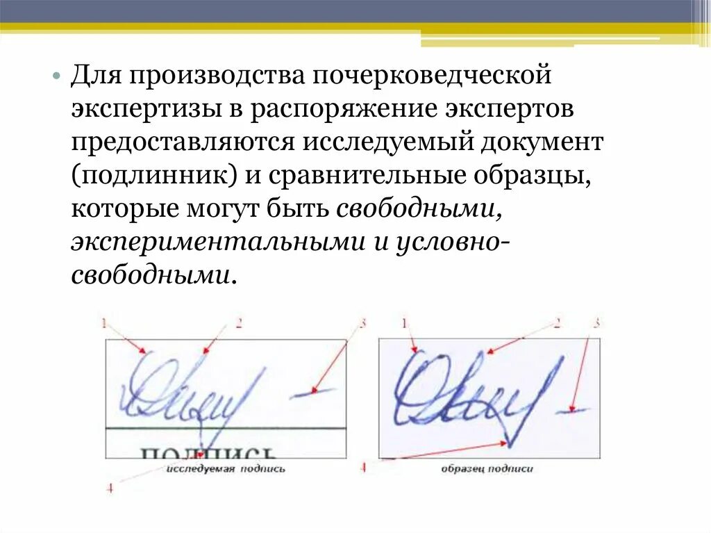 Назначьте почерковедческую экспертизу. Почерковедческая экспертиза. Образец почерковедческой экспертизы. Сравнительные образцы для почерковедческой экспертизы. Экспертиза подписи.