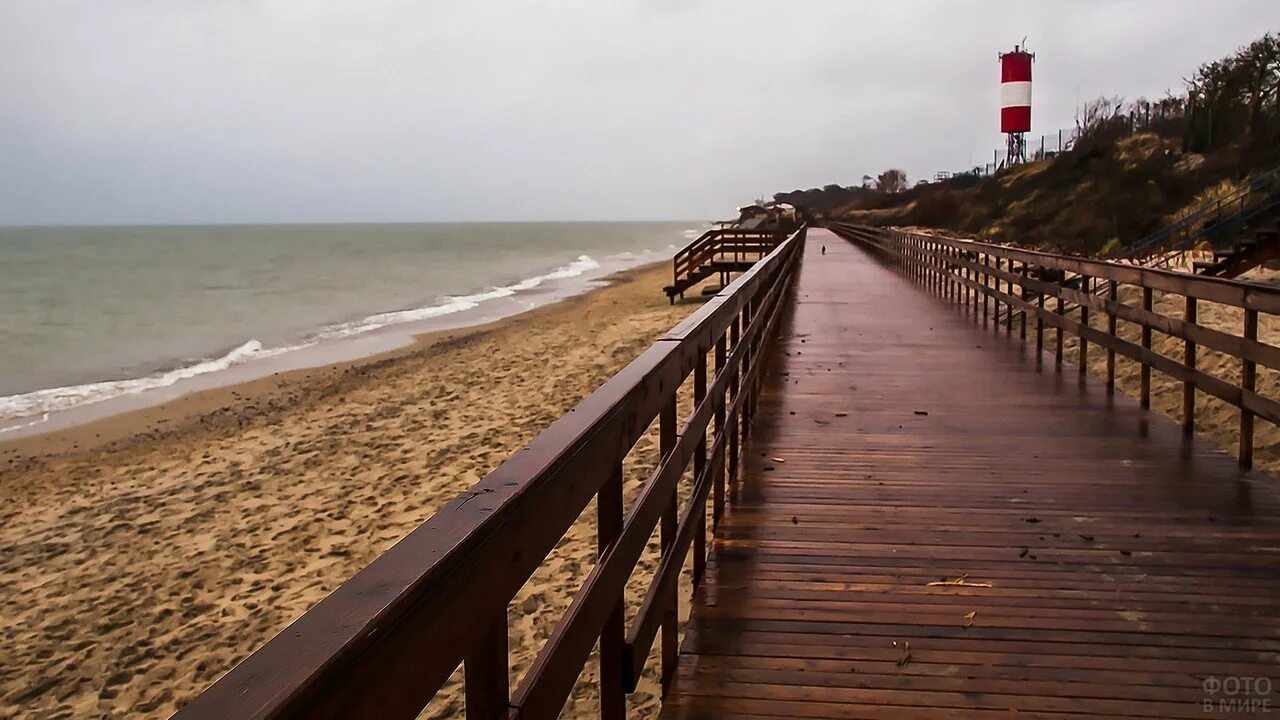 Зеленоградск любуйтесь морем. Поселок Лесной Куршская коса. Променад пляж Куршская коса. Пляж поселок Лесной Куршская коса. Зеленоградск море Куршская коса променад.