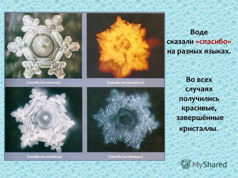 Реакция воды с k. Опыты Масару Эмото. Структура воды под микроскопом. Кристаллы воды. Кристаллы воды под микроскопом.