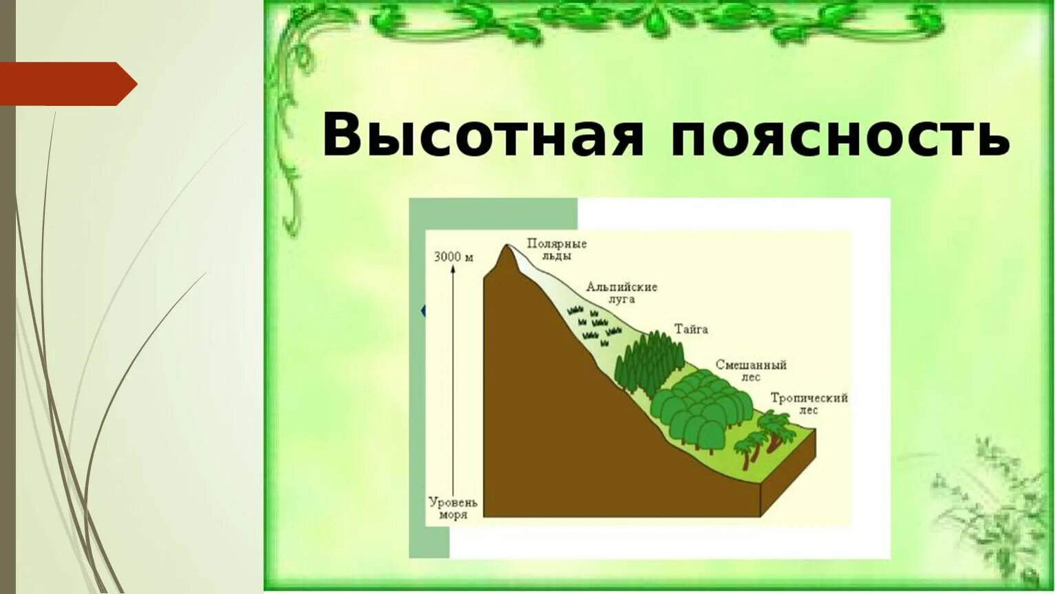 Растения высокой поясности. Высотная поясность. Области ВЫСОТНОЙ поясности. Высотная поясность растительность.