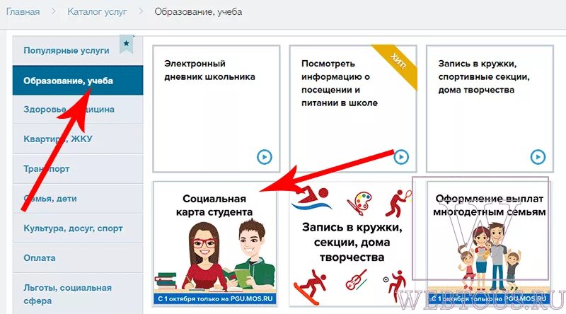 Социальная карта через госуслуги. Как оформить карту через госуслуги. Оформить социальную карту. Карта учащегося на госуслугах.