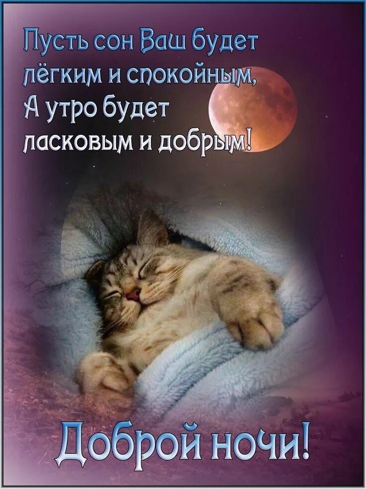 Спокойной ночи с овечками. Открытка приятных снов. Спокойной ночи картинки в яндексе. Спокойной ночи заяц. Сладеньких снов.
