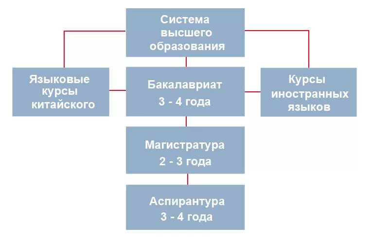 Отдел высшего образования. Структурная схема системы образования Китая. Структура образования в Китае схема. Структура системы высшего образования в Китае. Современная система образования в КНР структура.