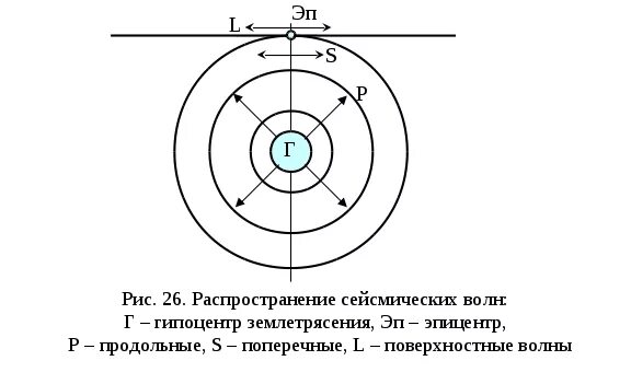 Примеры из жизни сейсмические волны Файл:Движение в поперечной волне.JPG Википедия