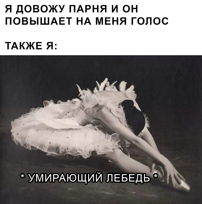 Миниатюра умирающий лебедь. Миниатюра умирающий лебедь