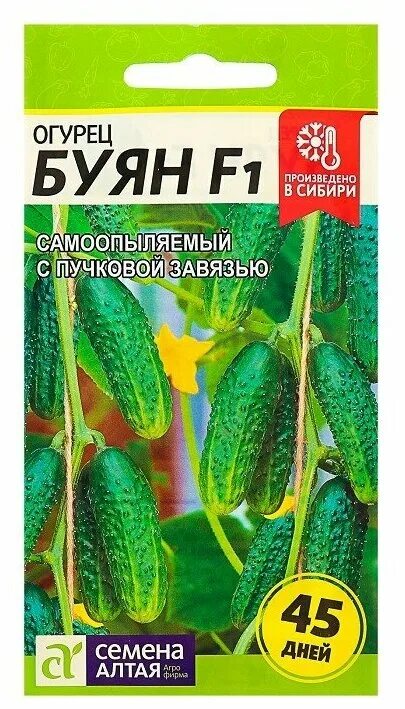 Огурец буян f1 10шт/10/50. Огурец буян отзывы. Огурец буян f1. Огурец буян f1. Огурец буян f1 (10шт).