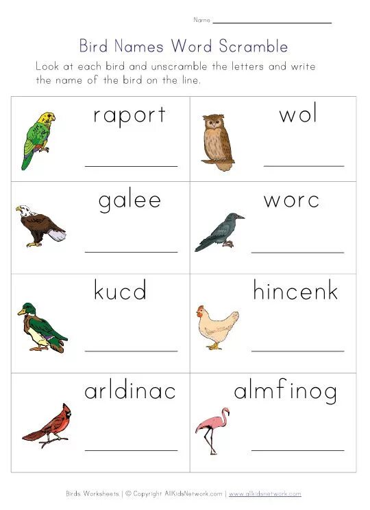 Birds задание. Задания по английскому тема птицы. Птица по английскому. Птицы на английском языке задания. Задание по английскому для детей про птиц.