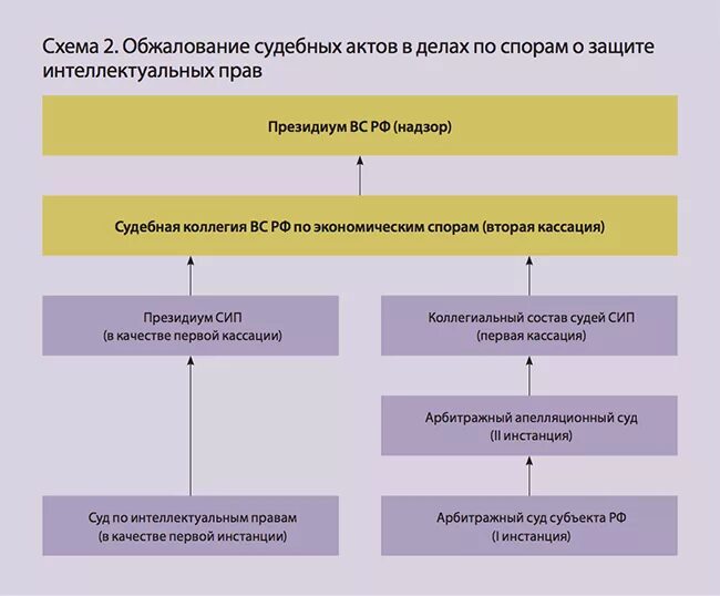 Интеллектуальный суд рф. Обжалование решения суда схема. Схема обжалования судебных актов. Схема обжалования судебных актов АПК. Апелляция в судах РФ схема.