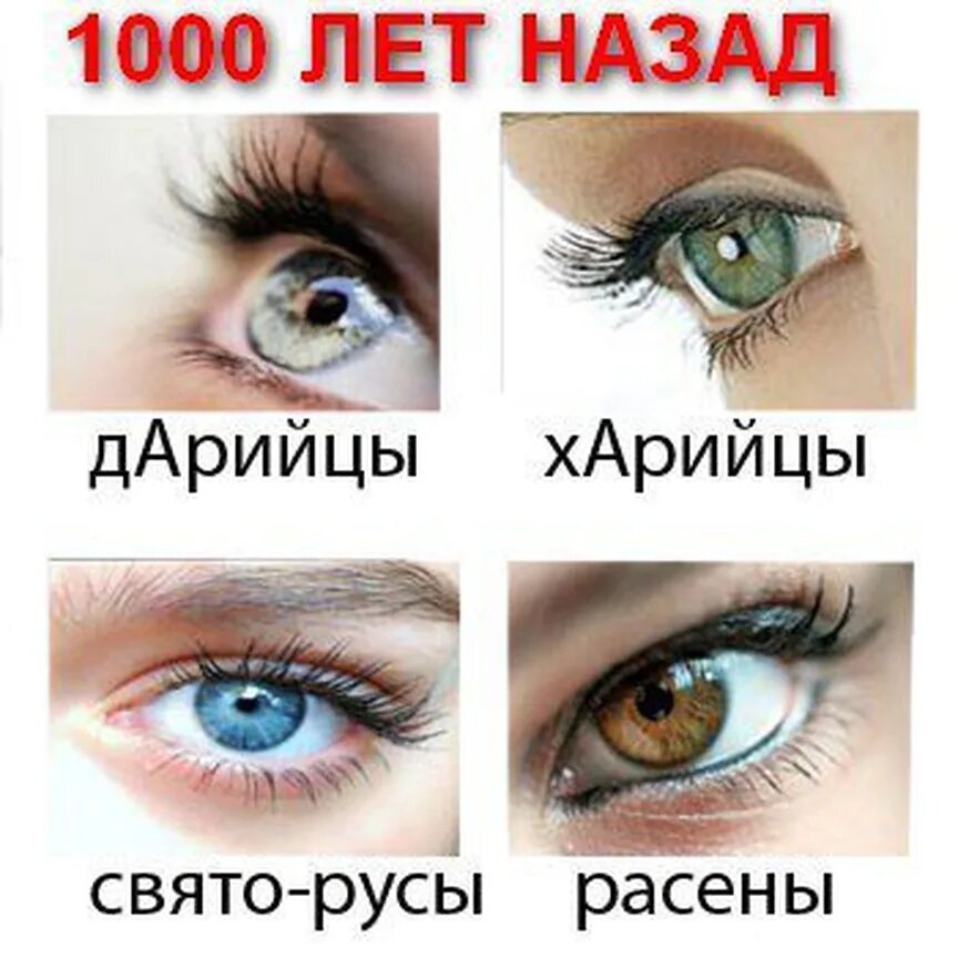 Какие народы относятся к арийцам. Арийцы харийцы дарийцы рассены святорусы. Арийцы харийцы дарийцы рассены святорусы. Дарийцы харийцы рассены и святорусы глаза. Дарийцы харийцы рассены и святорусы.