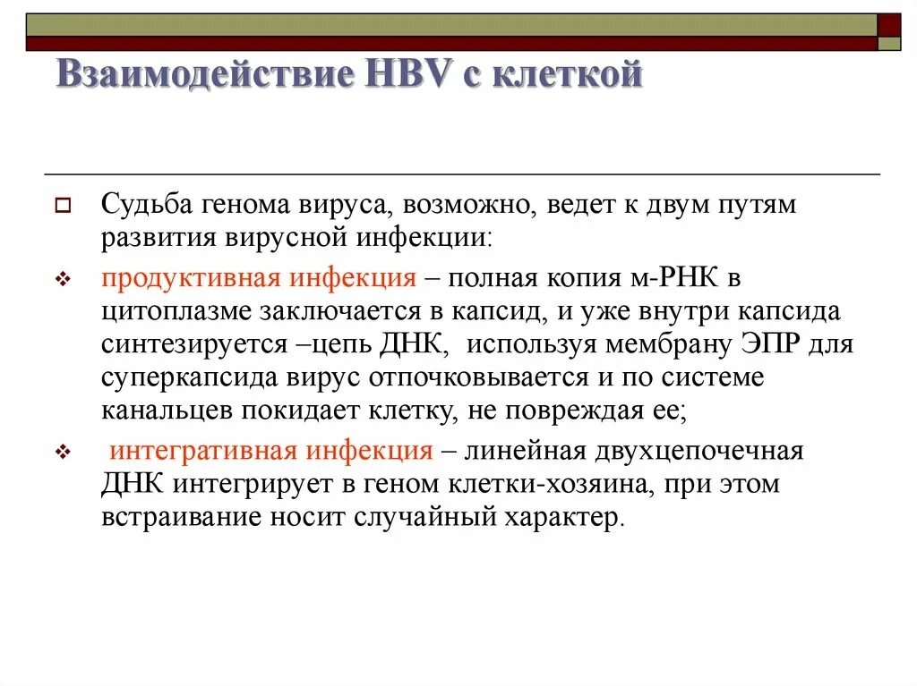 Деление раковых клеток. Созревание аффинности антител. Индуцированные плюрипотентные стволовые клетки схема клонирования. Экзосомы функции. Эндосома и экзосома это.