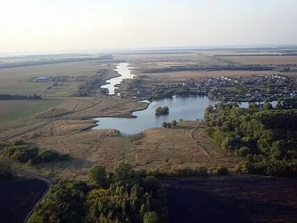 Новая жизнь воронежская область