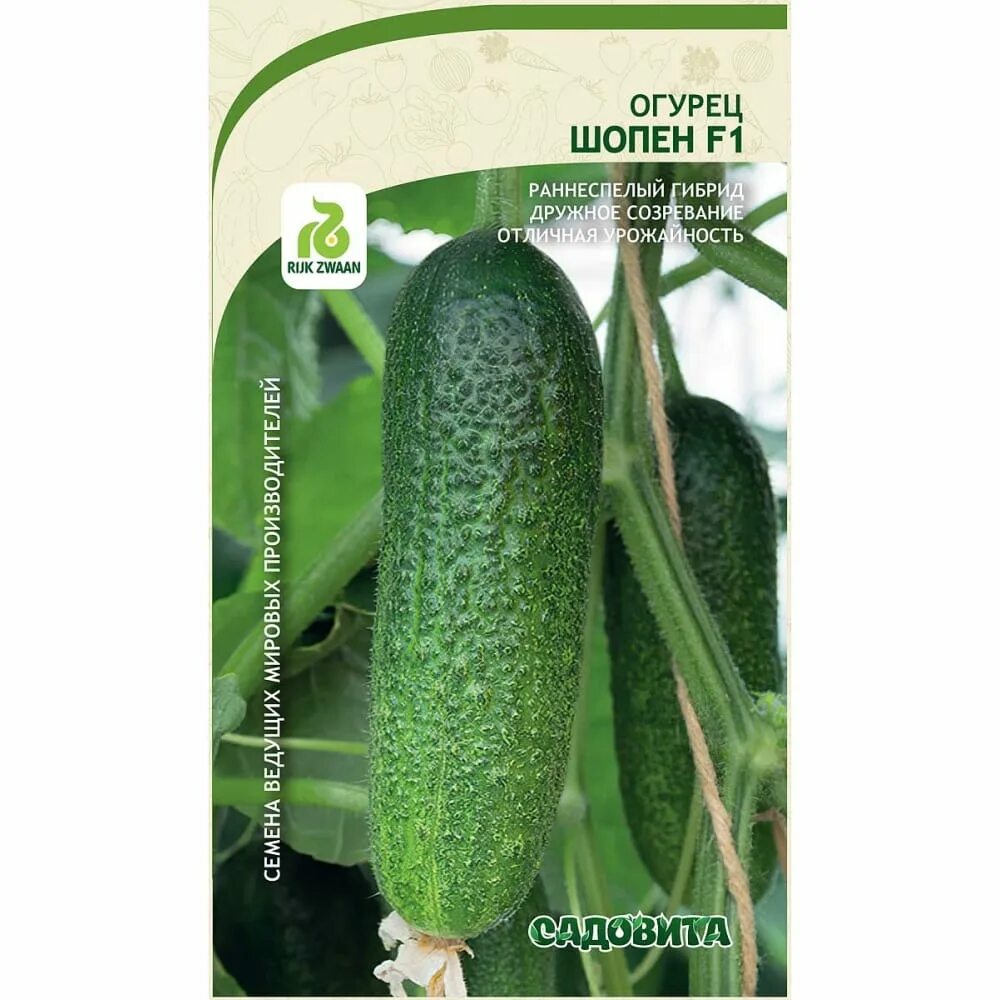 Огурец шопен f1 седек. Огурец рубинштейн f1 описание. Китайский огурец аллигатор f1. Огурец шопен f1 описание. Семена огурец "престиж семена".