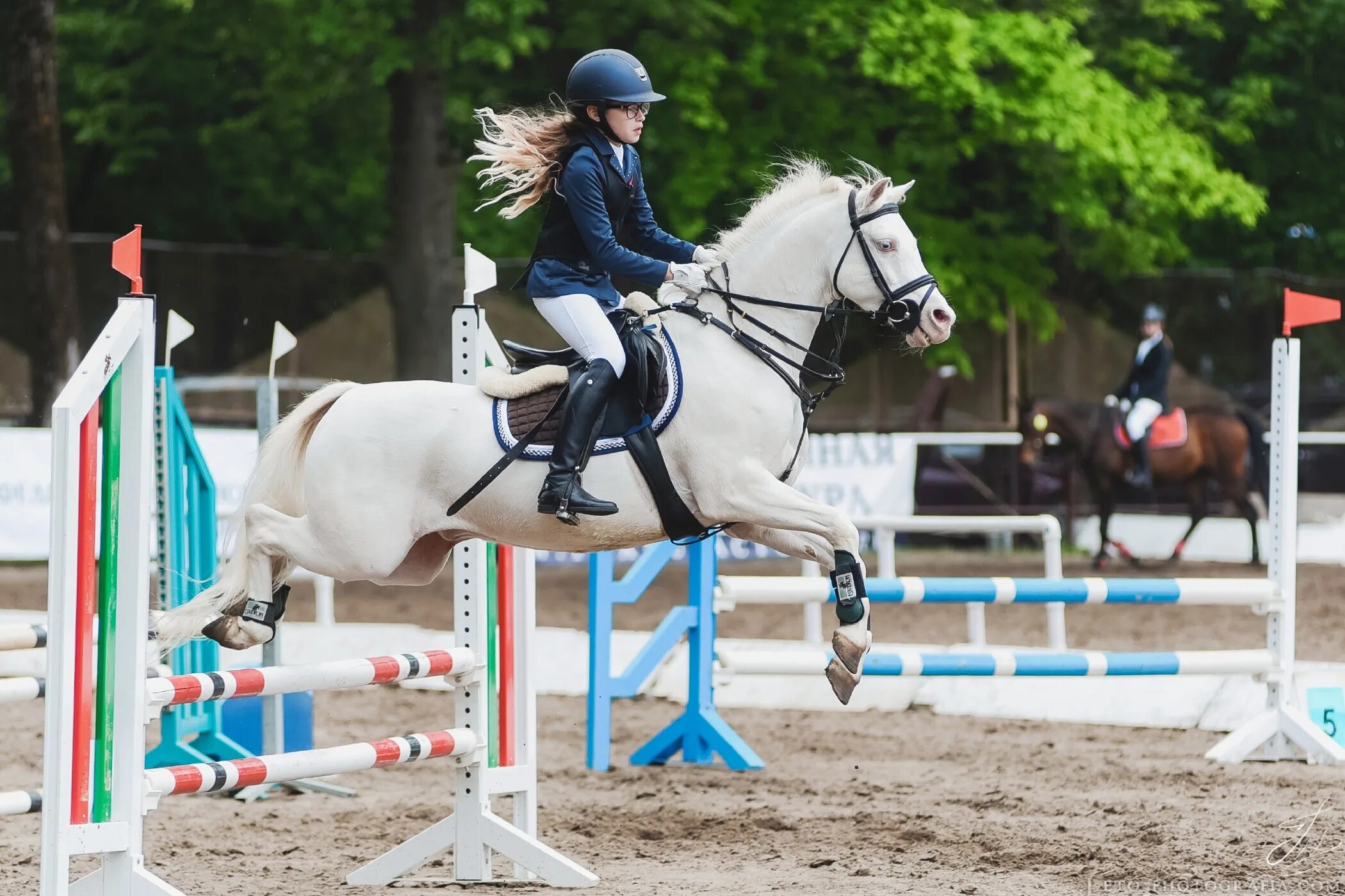 конно спортивный клуб питер. московский конный магазин шоссе энтузиастов. белая лошадь конный магазин спб. мустанг магазин конной амуниции. сшор по конному спорту в санкт-петербурге по выездке лошади.