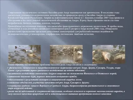 Неблагоприятные явления и их причины реки амур