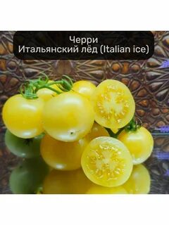 Томат итальянский жеребец характеристика и описание
