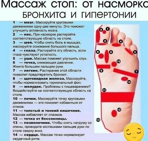 ШИАЦУ (ШИАТСУ) Массаж.ру Массаж, Рефлексология, Биологически активные точки