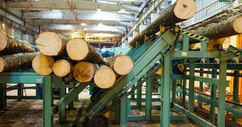 Лесная промышленность оборудование
