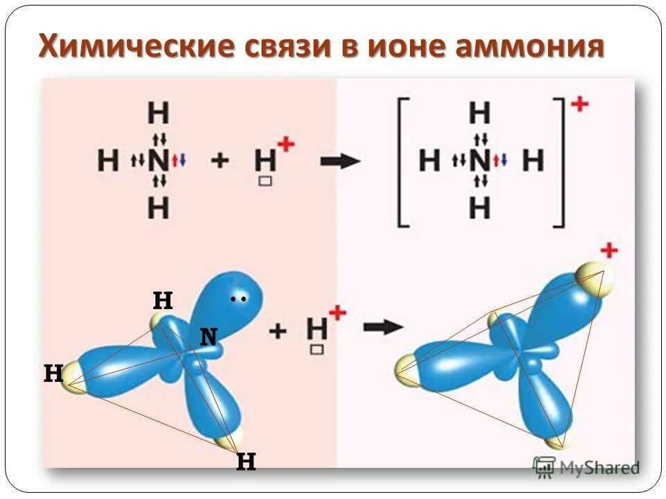 Образование связи в ионе аммония. Механизм образования иона аммония nh4 +. Донорно акцепторная связь в ионе аммония. Механизм образования иона аммония. Химическая связь в ионе аммония.