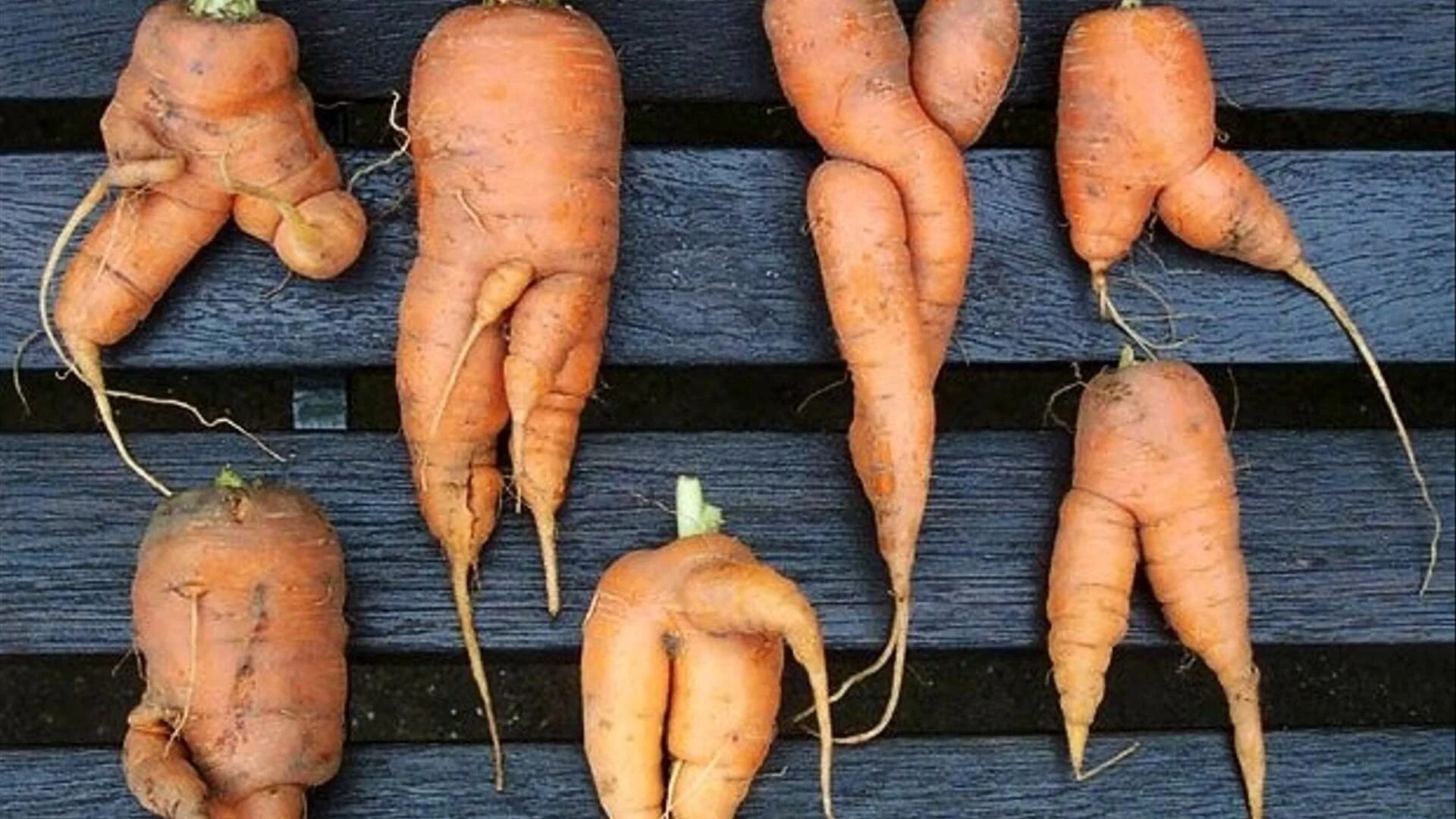 Man with 2 penises