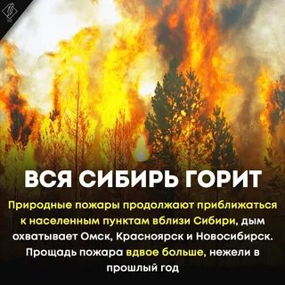 Сибирь последствия