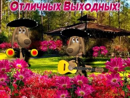 Про веселые выходные